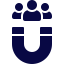 Magnet icon